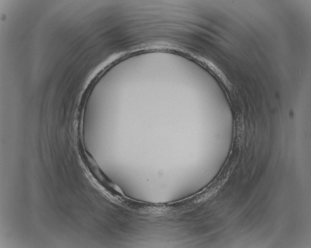 X0000083661134200703121805