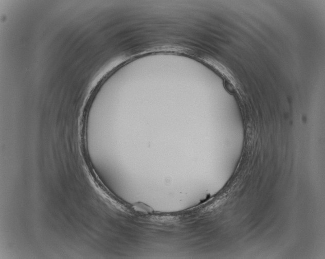 X0000083661135200703121805