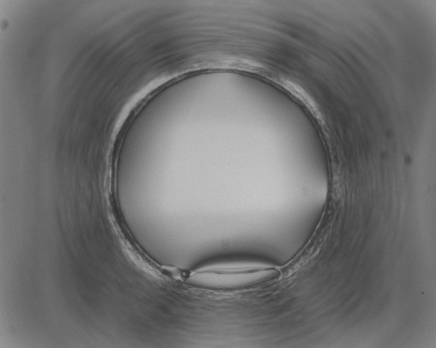 X0000083661136200703121805