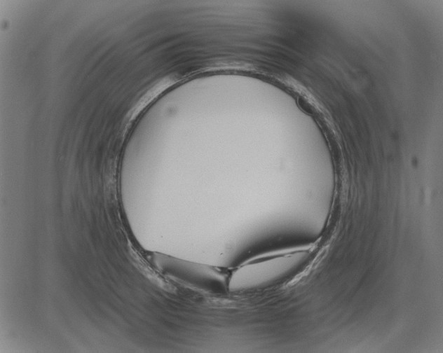 X0000083661137200703121805