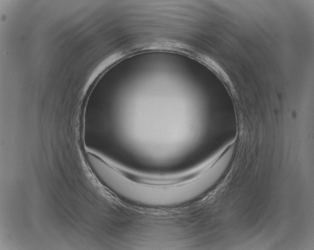 X0000083661138200703121805