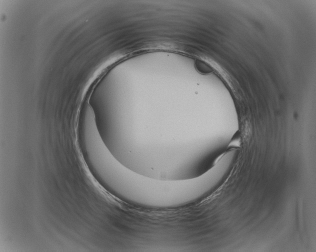 X0000083661139200703121805