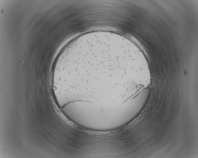 X0000083661140200703121805