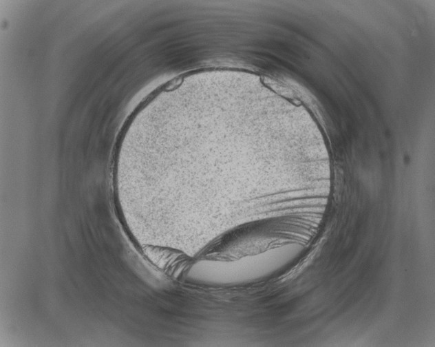 X0000083661141200703121805