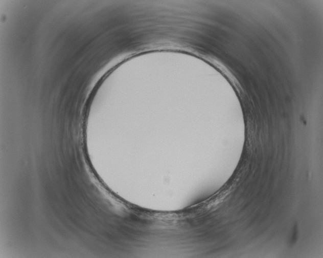 X0000083661142200703121805