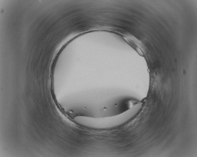 X0000083661143200703121805