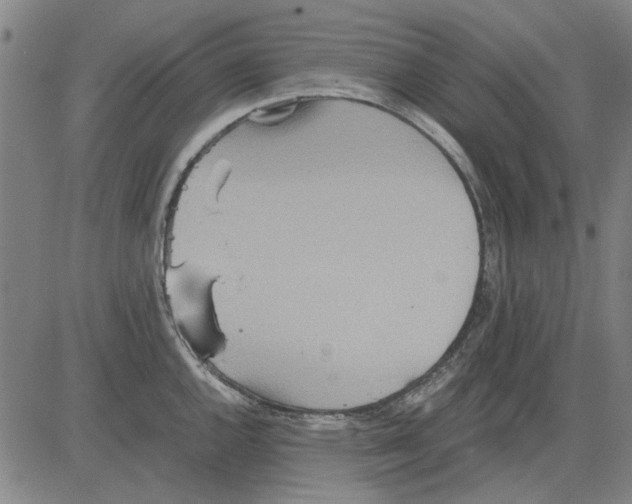 X0000083661144200703121805