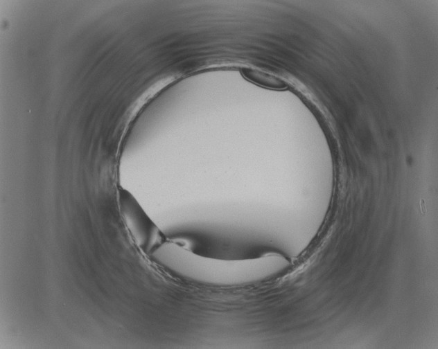 X0000083661145200703121805