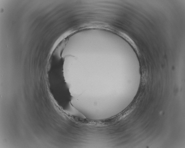 X0000083661146200703121805