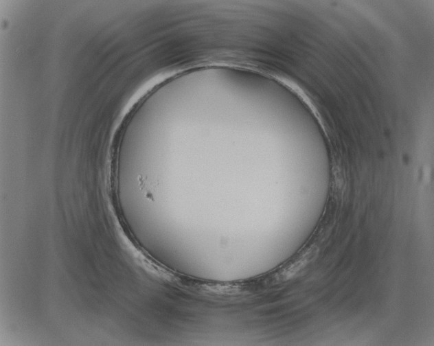 X0000083661147200703121805