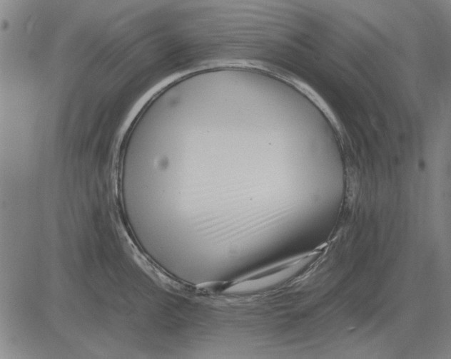 X0000083661148200703121805