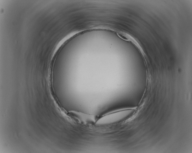 X0000083661149200703121805