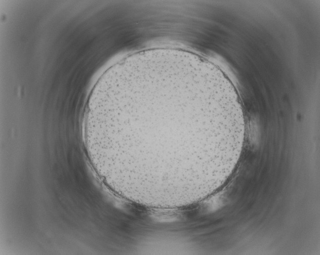 X0000083661150200703121805