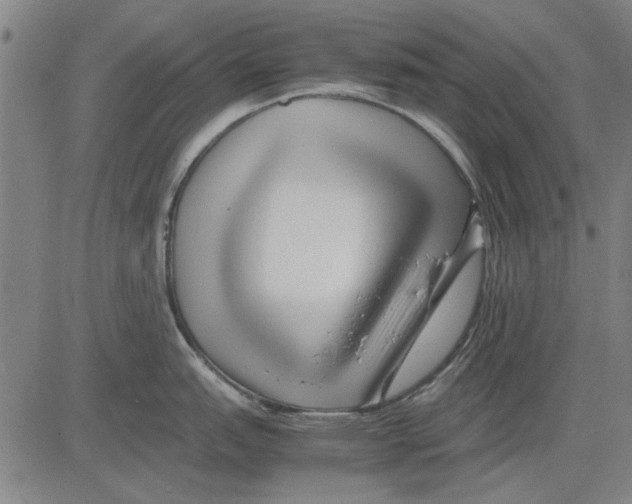 X0000083661151200703121805