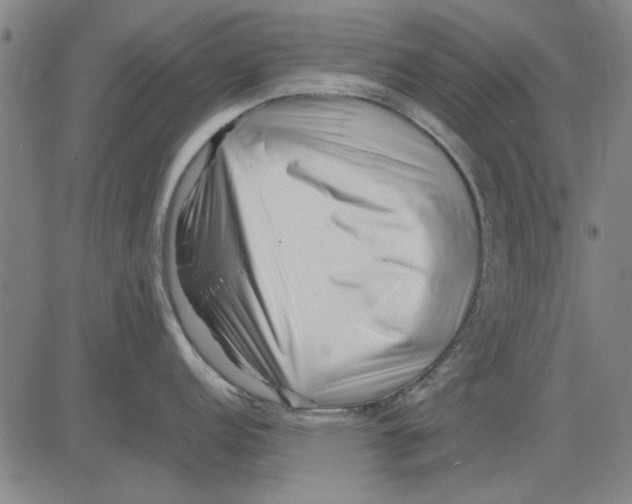 X0000083661152200703121805