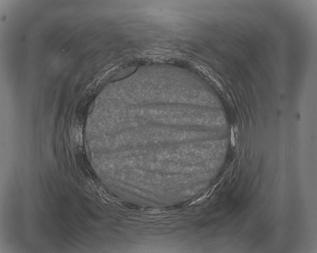 X0000083661155200703121804