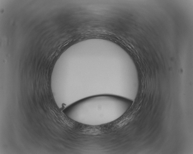 X0000083661156200703121804