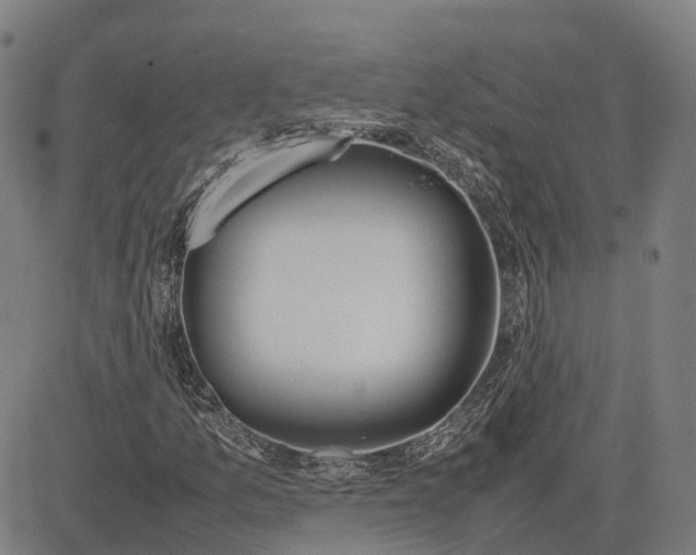 X0000083661157200703121804