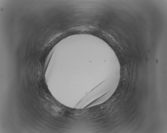 X0000083661158200703121804