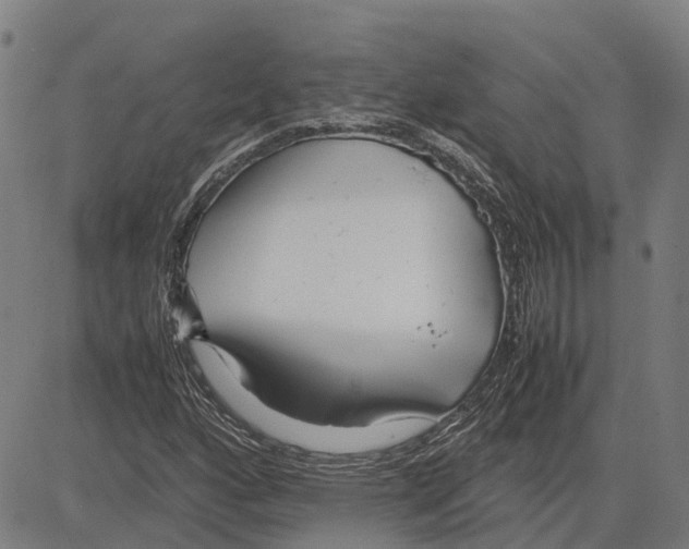 X0000083661160200703121804