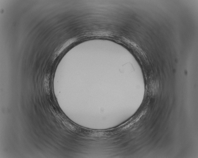 X0000083661162200703121804