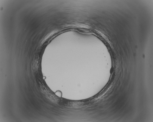 X0000083661163200703121804