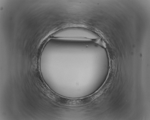 X0000083661165200703121804