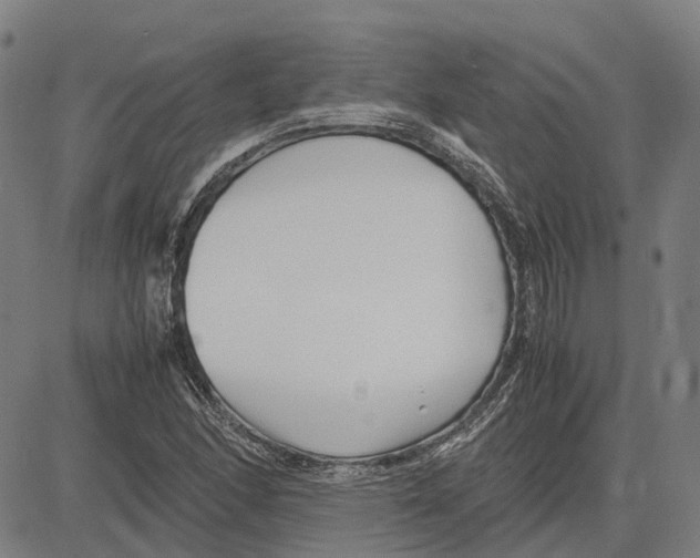 X0000083661166200703121804