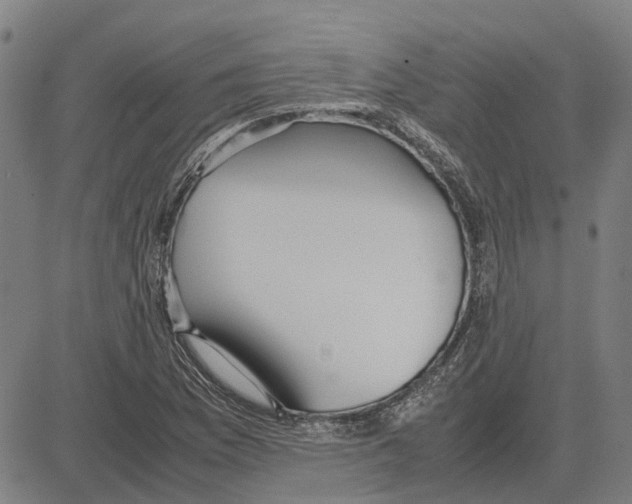 X0000083661169200703121804