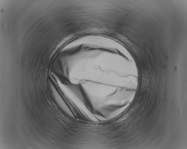 X0000083661170200703121804