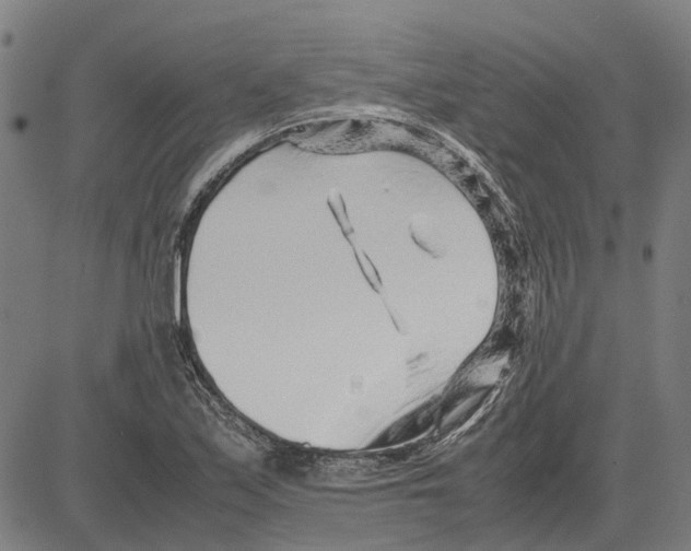 X0000083661171200703121804