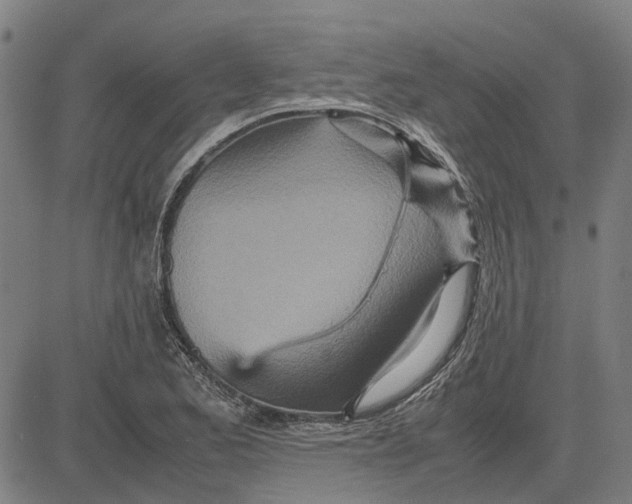 X0000083661173200703121804