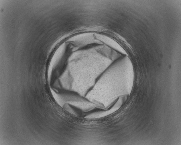 X0000083661174200703121804