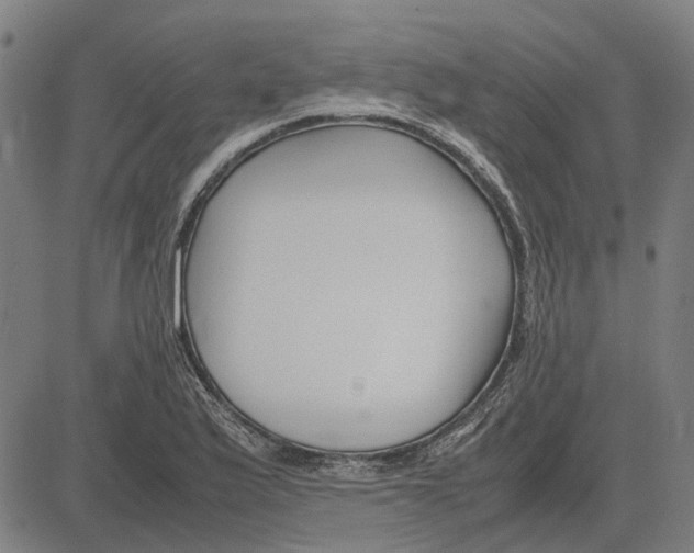 X0000083661175200703121804