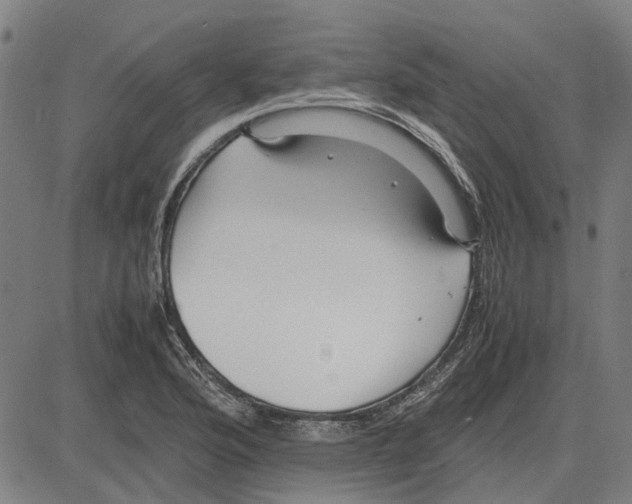 X0000083661176200703121804