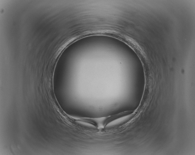 X0000083661177200703121804