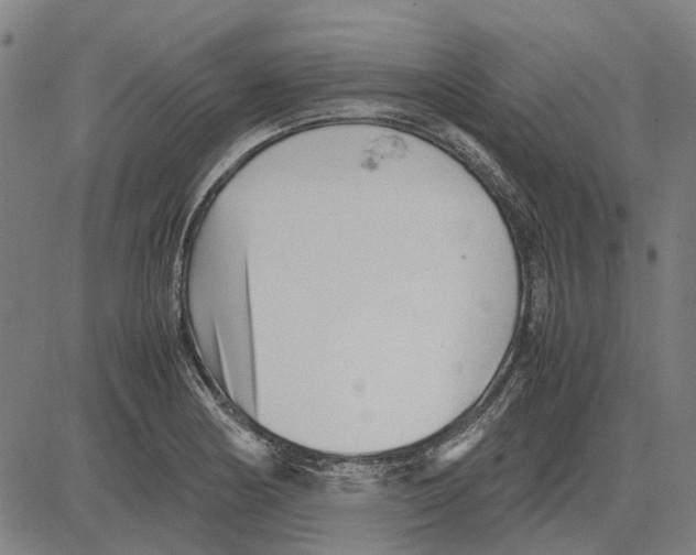 X0000083661178200703121804