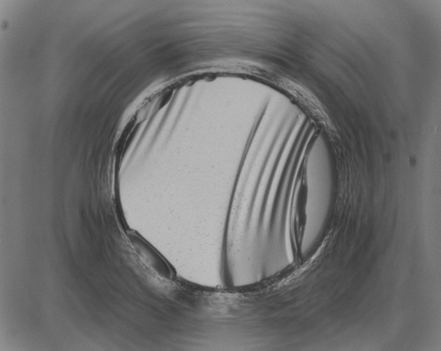 X0000083661180200703121804