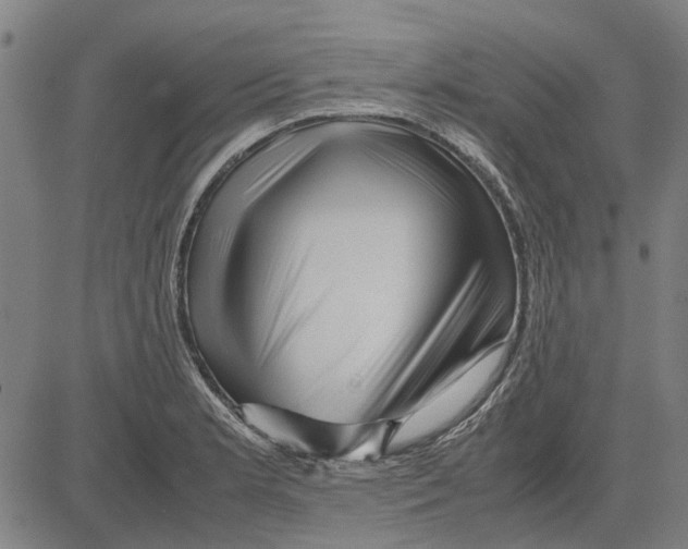 X0000083661181200703121803