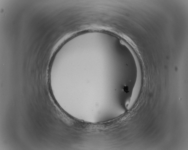 X0000083661183200703121803