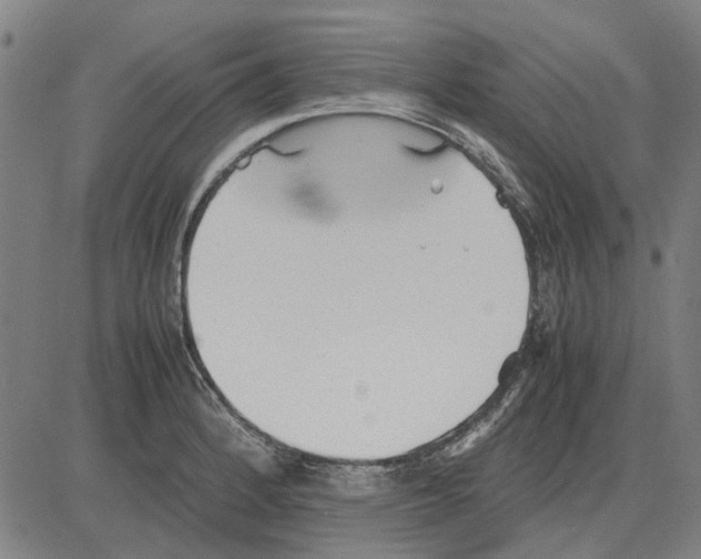 X0000083661184200703121803