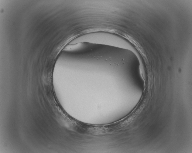 X0000083661185200703121803