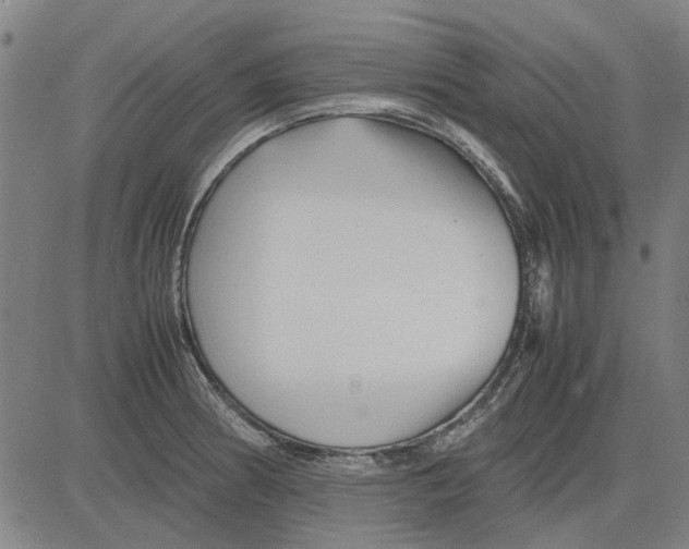 X0000083661186200703121803