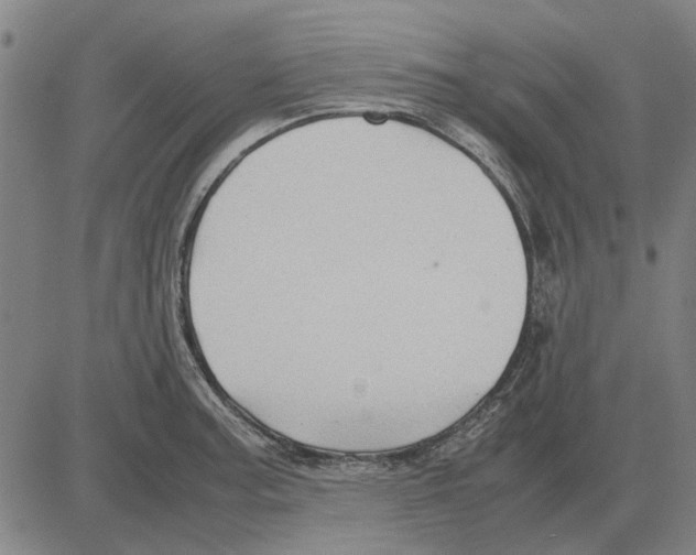 X0000083661187200703121803