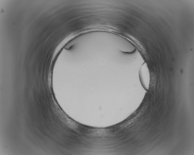 X0000083661188200703121803