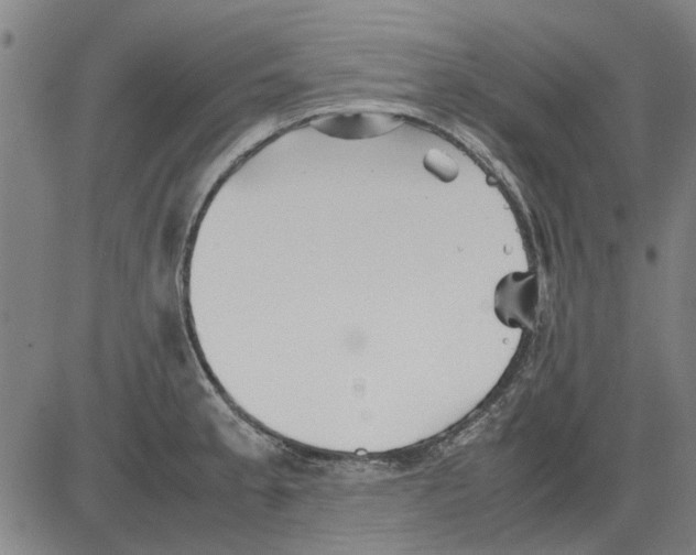 X0000083661189200703121803