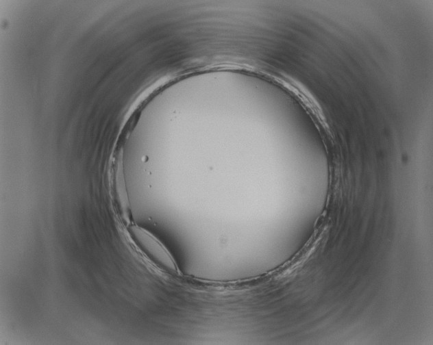 X0000083661190200703121803