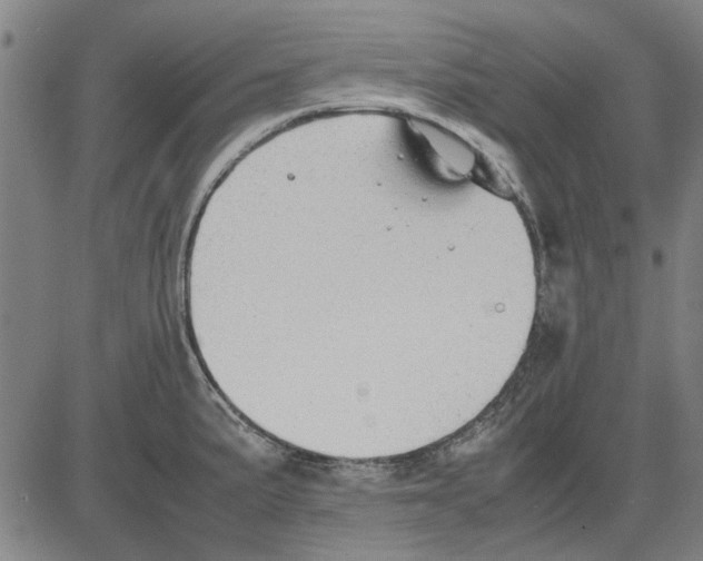 X0000083661191200703121803