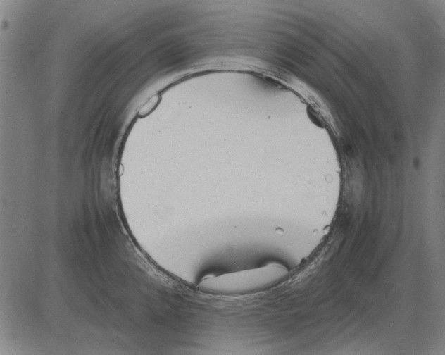 X0000083661192200703121803