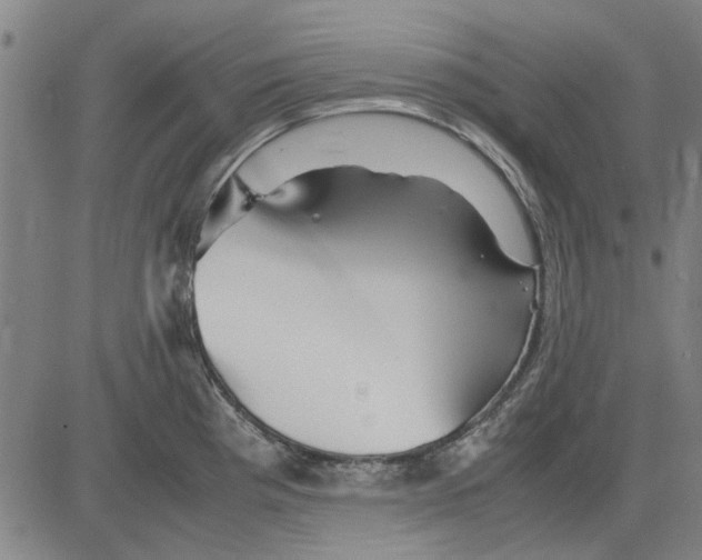 X0000083661193200703121803